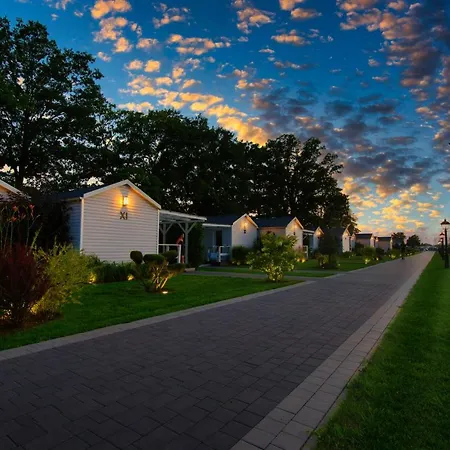 Skandynawia Przystan * Zator